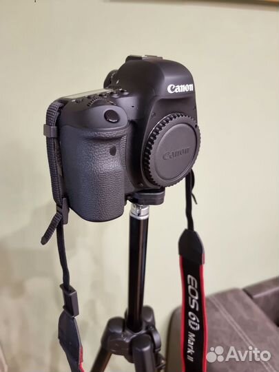 Canon EOS 6D Mark II Body Пробег-14513