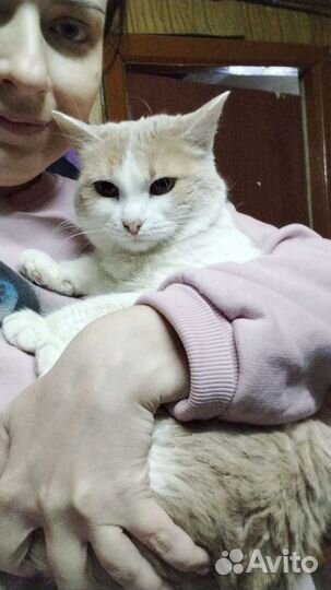 Милая Зайка