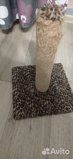 Когтеточка