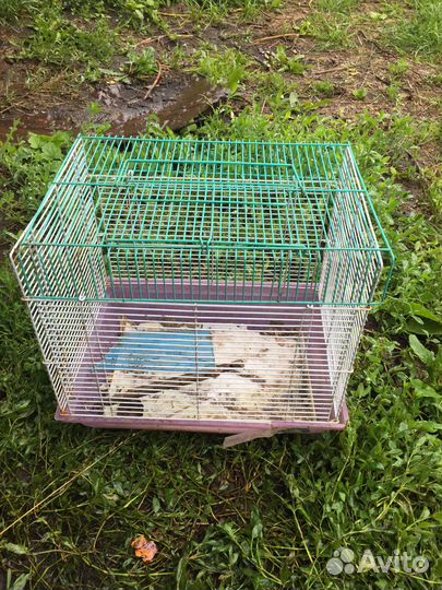 Клетка 35х33х25 см