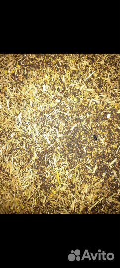 Отходы рапса