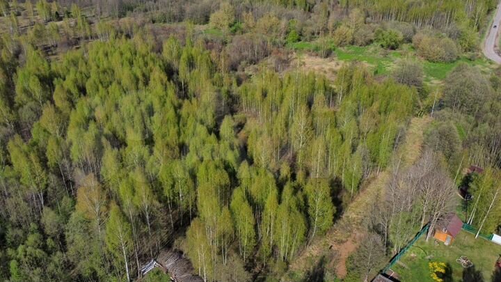 Участок 45 сот. (ИЖС)