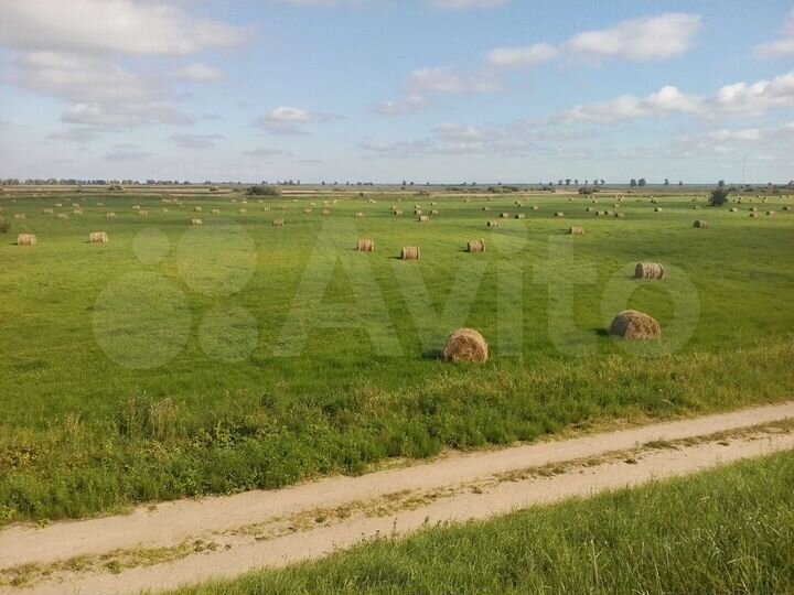 Участок 78 га (СНТ, ДНП)