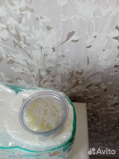 Тибетский молочный гриб