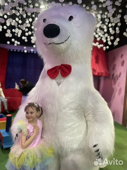 Медведь/ Чебурашка/ Панда / экспресс поздравление