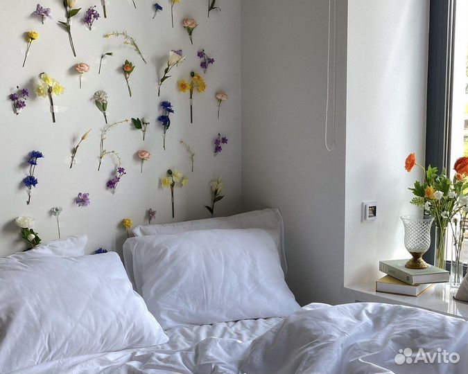 Аренда фотостудии зал Pure