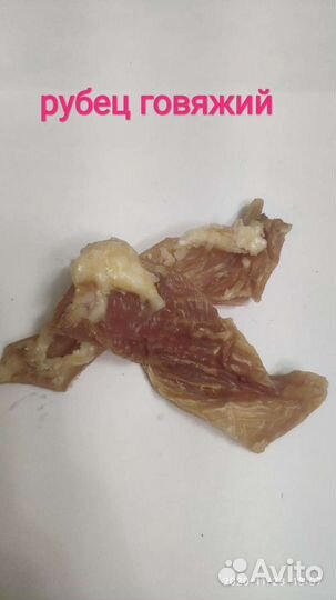 Корм для собак