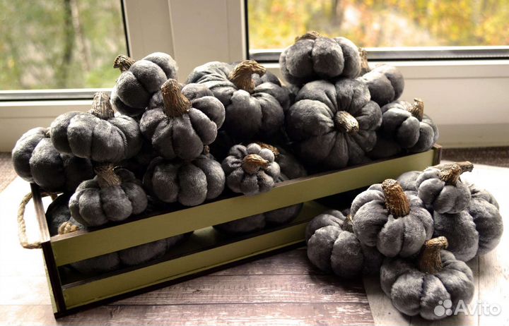 Тыква декоративная