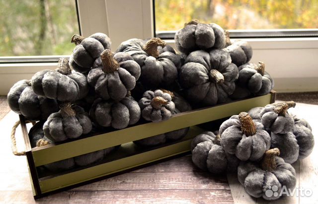 Тыква декоративная