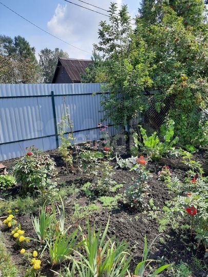 Дача 40 м² на участке 4 сот.