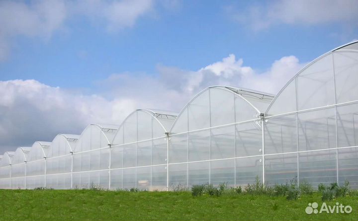 Выращивание клубники на органике