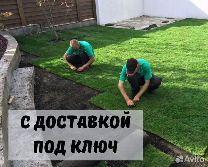 Рулонный газон под ключ