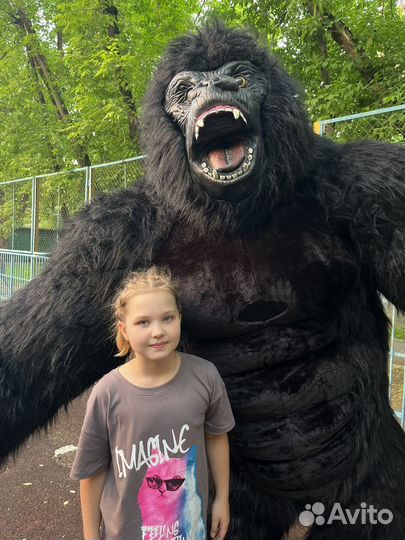 Поздравление ростовой Гориллой 2,6 метра