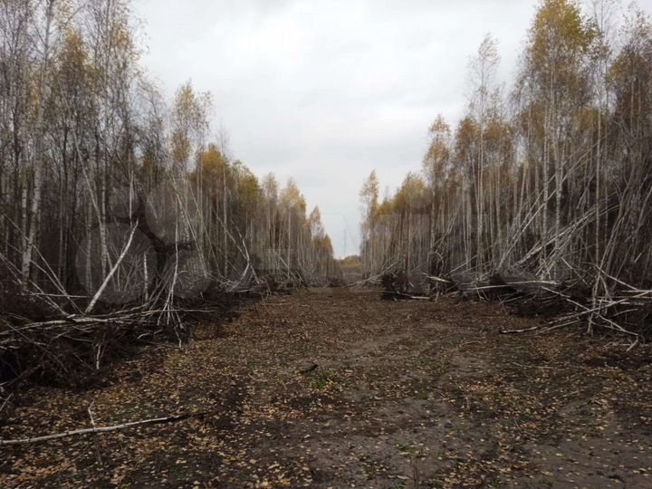 Участок 1,05 га (ИЖС)