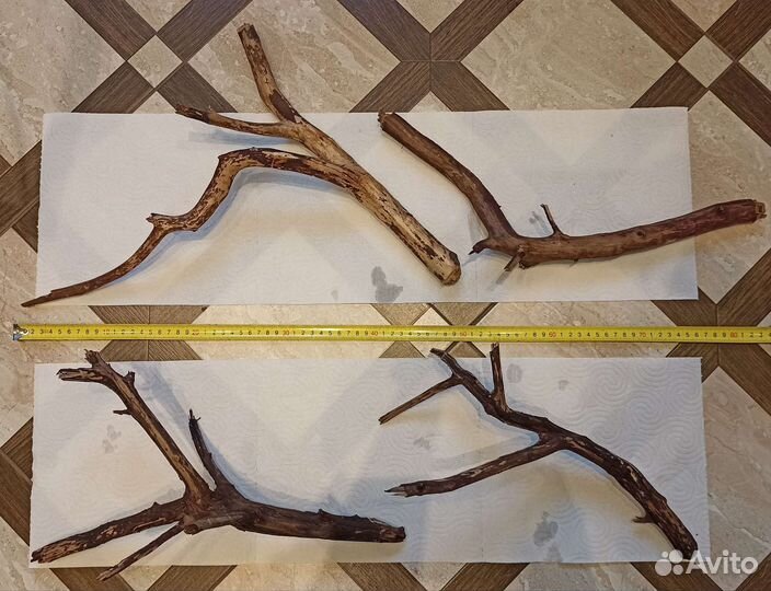 Растения и коряги затонувшие для аквариума