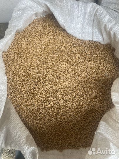 Семена горчицы белой Жемчужина