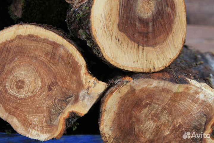 Слэб дерева и спилы