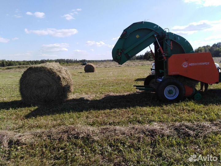 Сено в рулонах