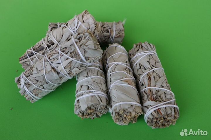 Шалфей Белый от 20шт опт для Озон