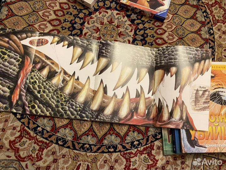 Дэвид Бэрген