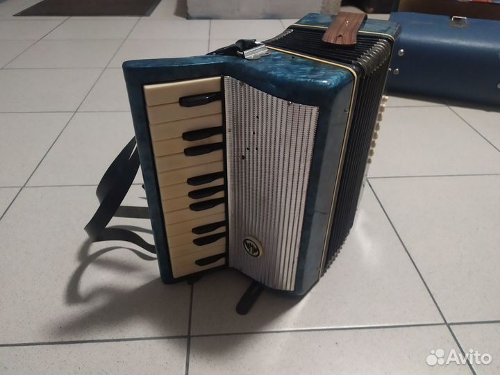 Аккордеон детский