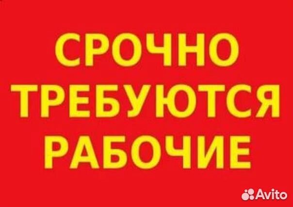 Разнорабочий, зп ежедневно, без опыта(т)