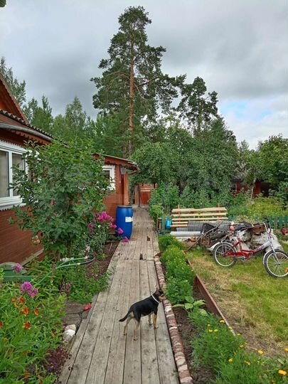 Дом 59,4 м² на участке 5 сот.