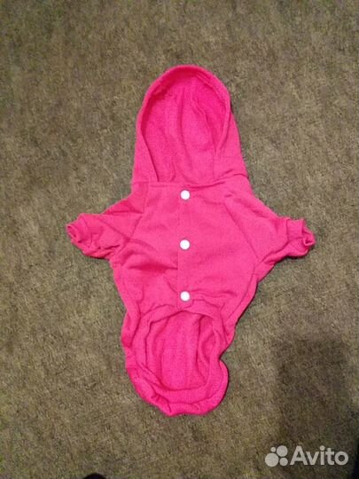 Одежда для собак