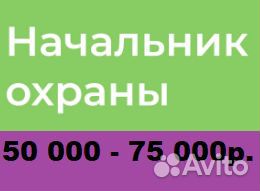 Начальник охраны / Руководитель