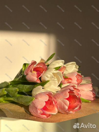 Тюльпаны в розницу