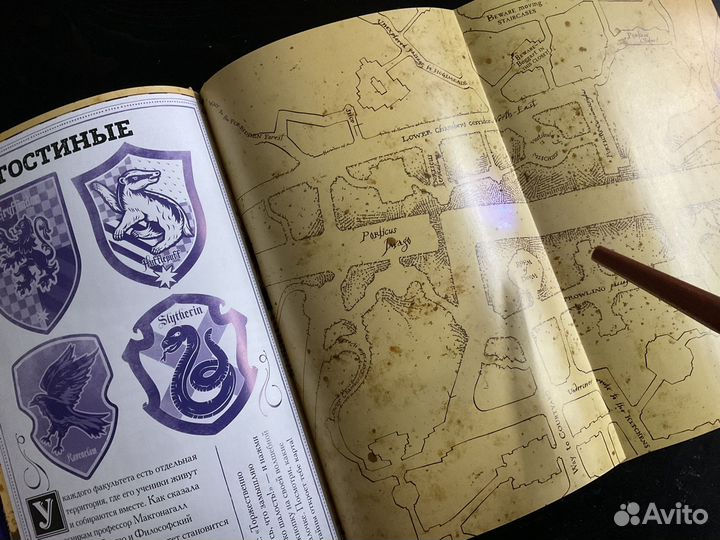 Карта мародеров