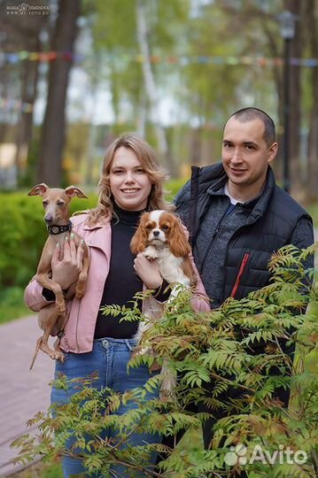 Домашняя зоогостиница с кинологом