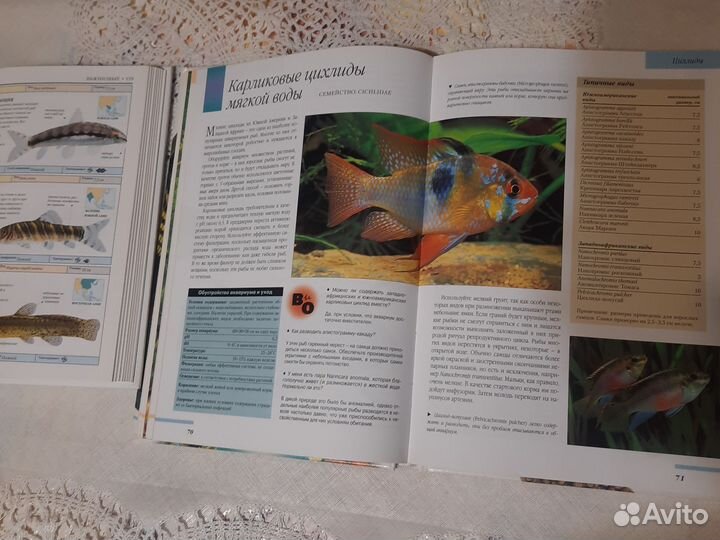 Книги про аквариумных рыб