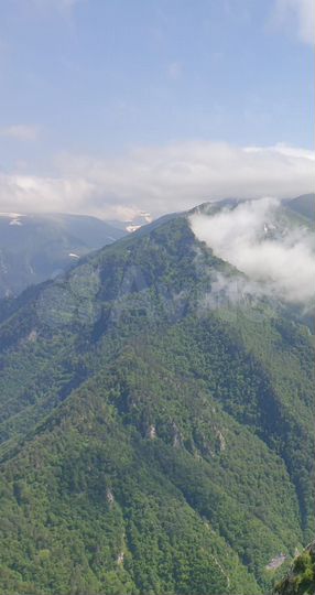 Участок 1,4 га (СНТ, ДНП)