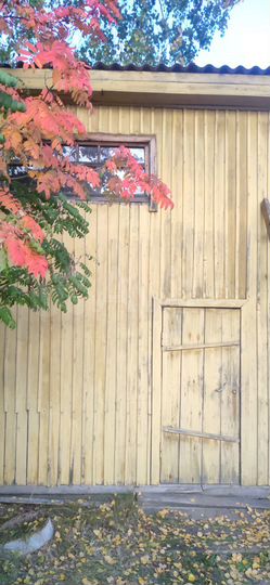 Дача 20 м² на участке 12 сот.