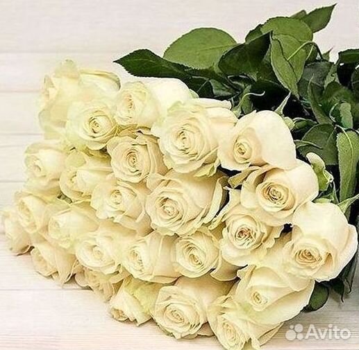 Высокие Высокие розы Гигантские розы Букеты Достав