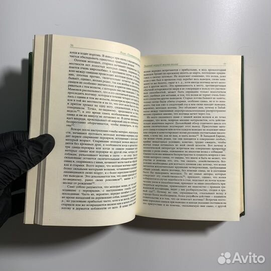 Охотничьи звери. Л.П. Сабанеев. 1988