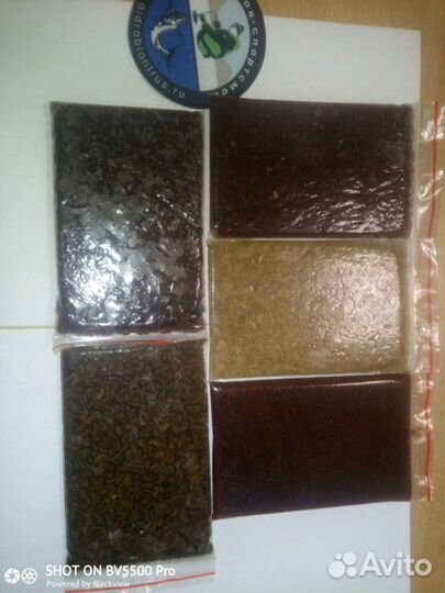 Замороженные корма для рыб. Мотыль и другие