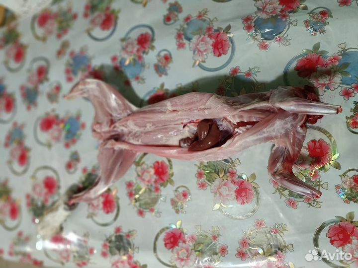 Мясо кролика