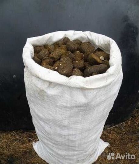 Конский навоз