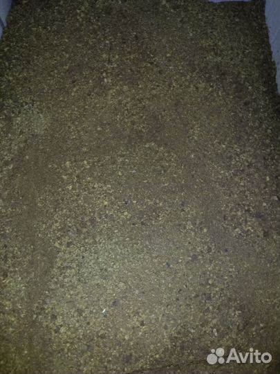 Чага березовая от сборщика