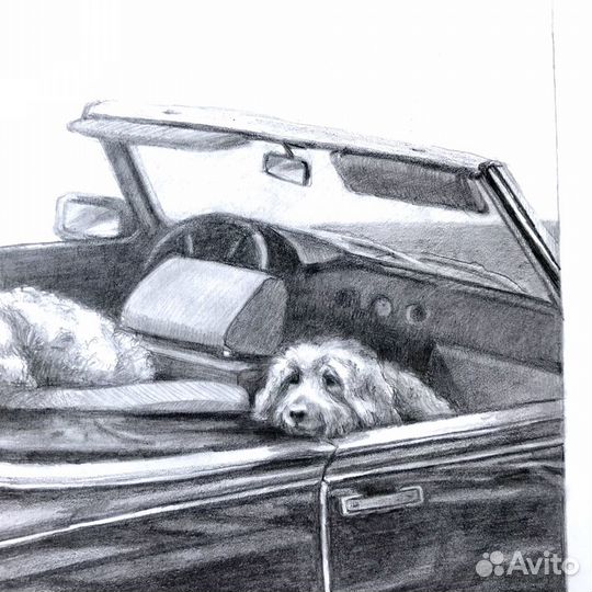 Постер Картина Открытка