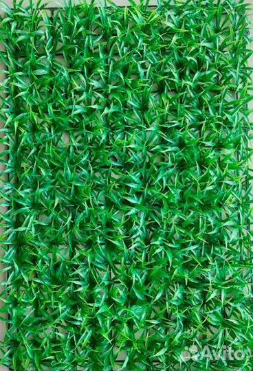 Искусственная трава, самшитовый ковер