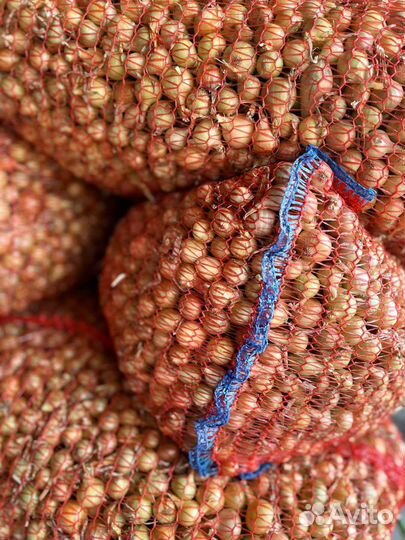 Только опт от 1 сетки (25кг) Штутгартер колобок