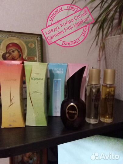 Дзинтарс Юрмала, Кредо,Love Poiton белый