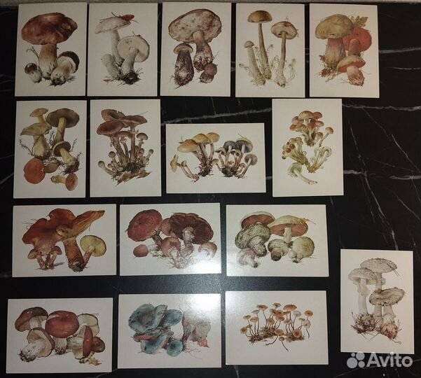 Набор открыток