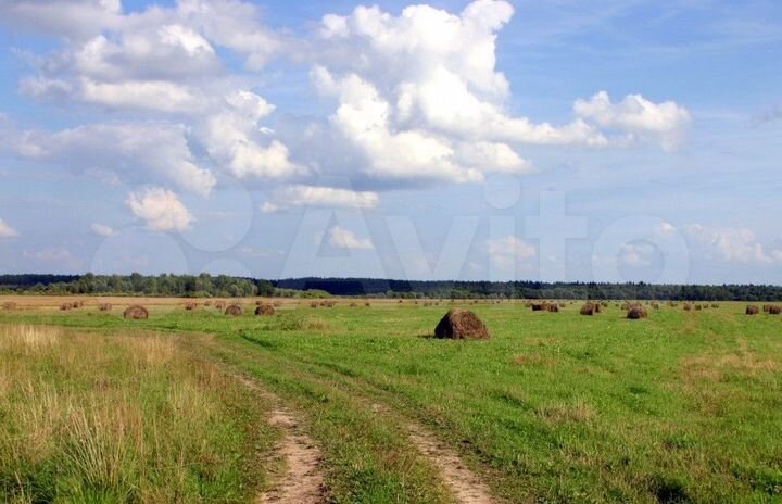 Участок 135 га (СНТ, ДНП)