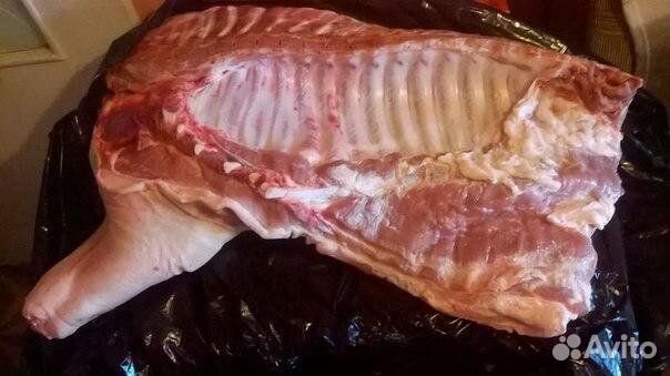 Свинина передняя часть