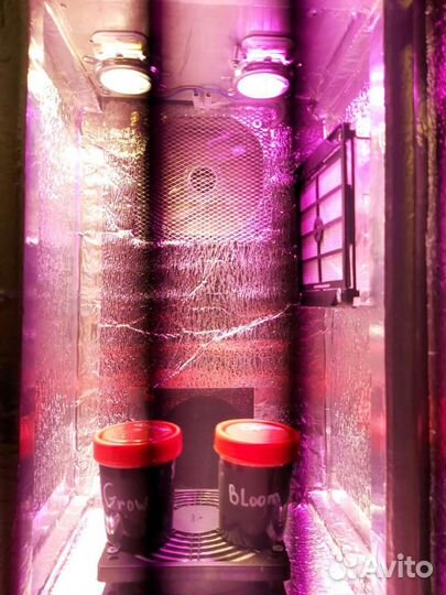 Колонка Гроубокс