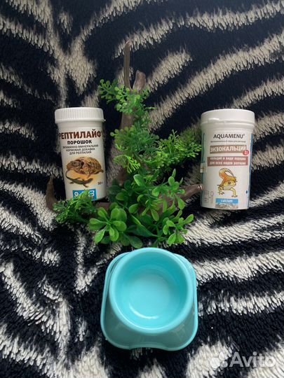 Товары для рептилий